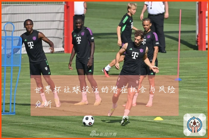 世界杯让球投注的潜在机会与风险分析
