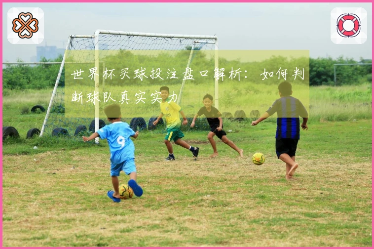 世界杯买球投注盘口解析：如何判断球队真实实力