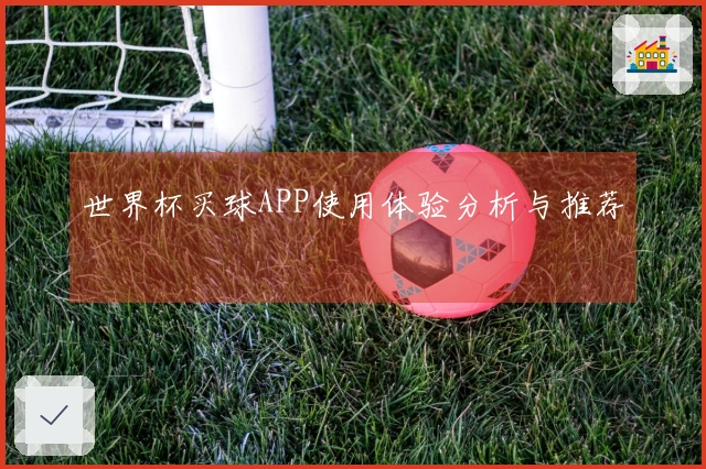 世界杯买球APP使用体验分析与推荐