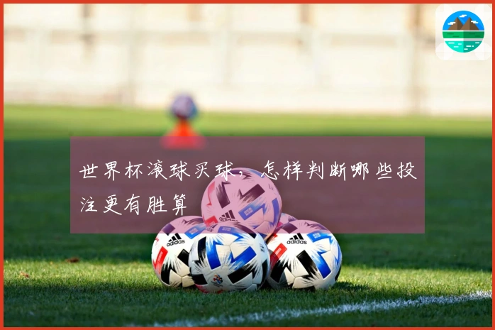 世界杯滚球买球，怎样判断哪些投注更有胜算