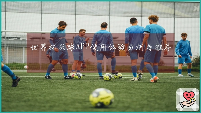 世界杯买球APP使用体验分析与推荐