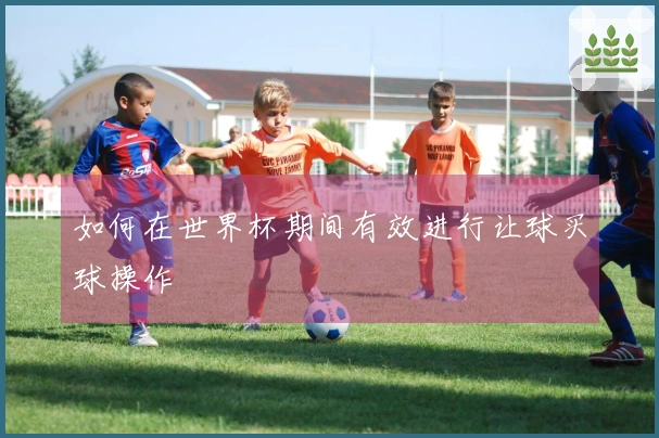 如何在世界杯期间有效进行让球买球操作