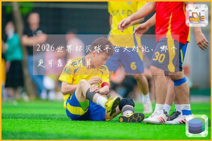 2026世界杯买球平台大对比，哪个更可靠更划算