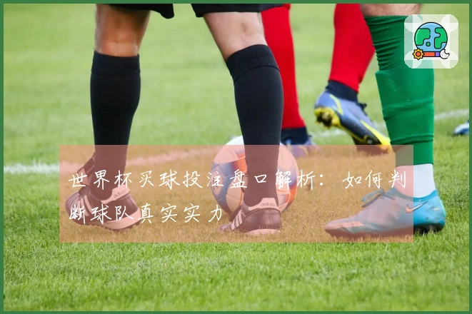 世界杯买球投注盘口解析：如何判断球队真实实力