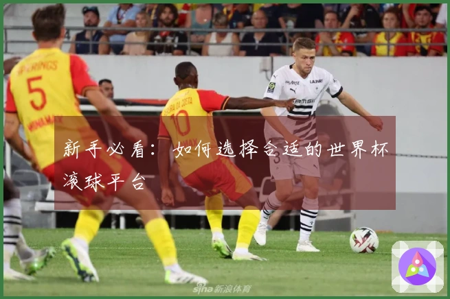新手必看：如何选择合适的世界杯滚球平台