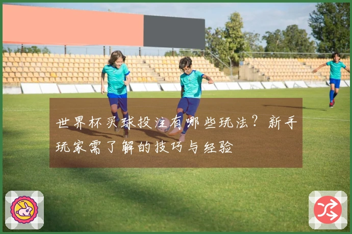 世界杯买球投注有哪些玩法？新手玩家需了解的技巧与经验