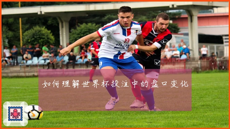 如何理解世界杯投注中的盘口变化