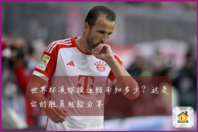 世界杯滚球投注赔率知多少？这是你的胜负经验分享