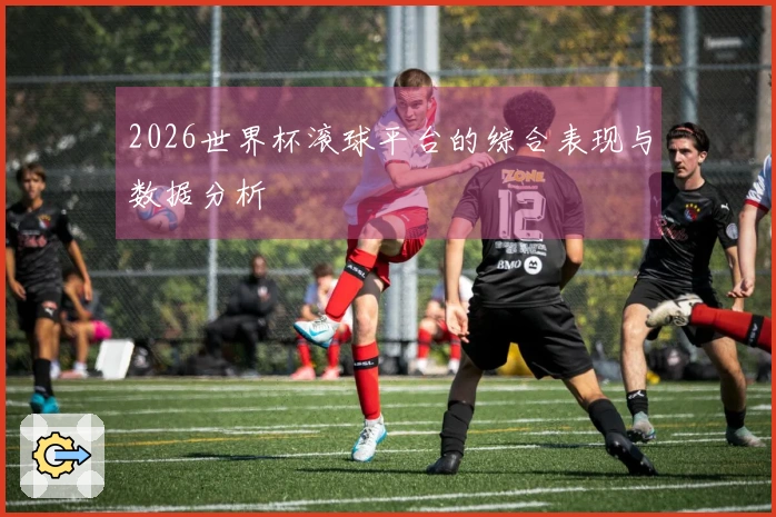 2026世界杯滚球平台的综合表现与数据分析