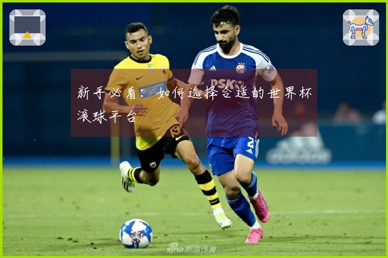 新手必看：如何选择合适的世界杯滚球平台