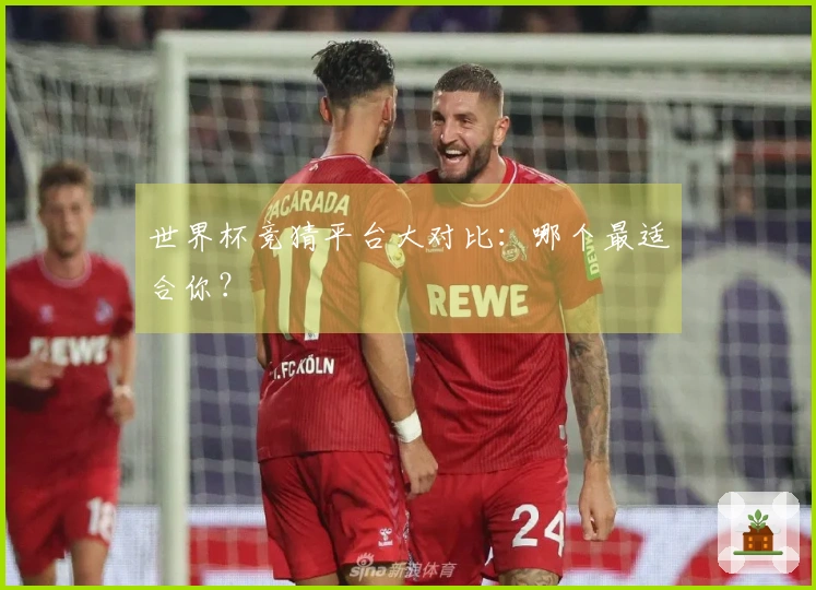 世界杯竞猜平台大对比：哪个最适合你？