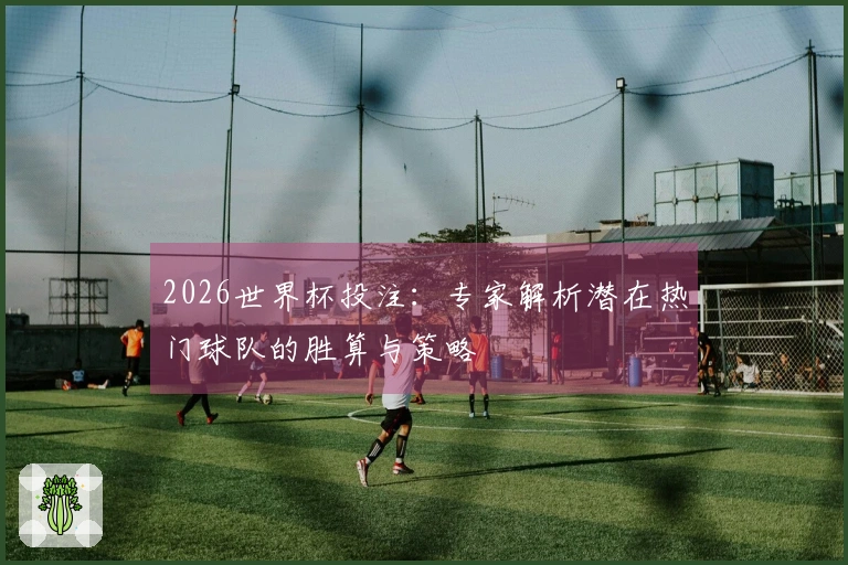 2026世界杯投注：专家解析潜在热门球队的胜算与策略
