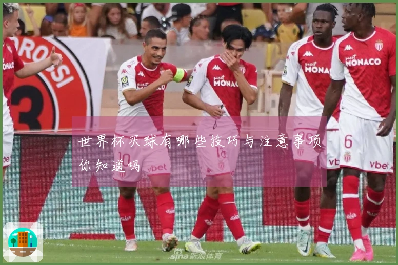 世界杯买球有哪些技巧与注意事项你知道吗