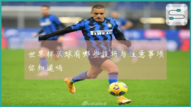 世界杯买球有哪些技巧与注意事项你知道吗